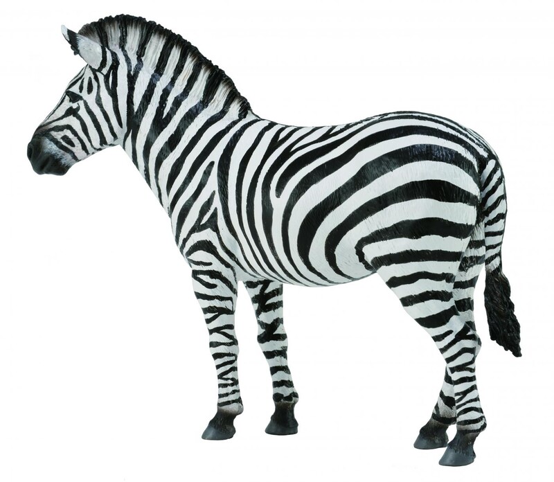 COLLECTA - Zebra