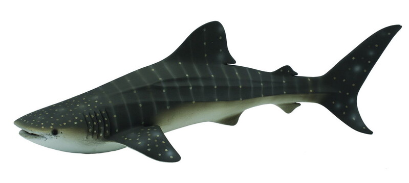 COLLECTA - Žralok obrovský