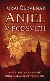 Anjel v podsvetí (Barbarič a Stein 7) - Juraj Červenák