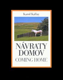 Návraty domov / Coming Home - Karol Kállay