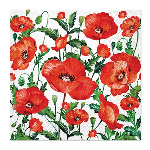 PAW - Obrúsky L 33x33cm Flanders Poppy