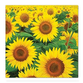 PAW - Obrúsky TaT 33x33cm Sunflowers Field