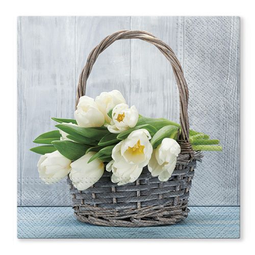 PAW - Obrúsky TaT 33x33cm Tulips in the Basket