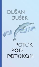 Potok pod potokom - Dušan Dušek