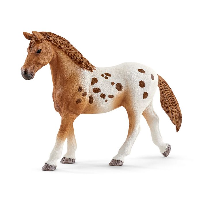 SCHLEICH - set appalooské kone a tréningové príslušenstvo