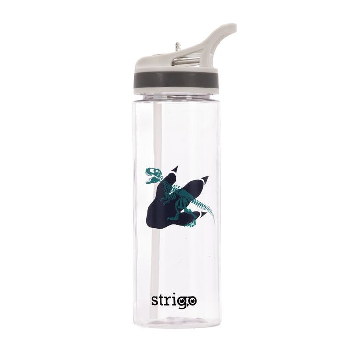 STRIGO - Fľaša na pitie 600 ml DINOSAUR